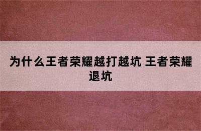 为什么王者荣耀越打越坑 王者荣耀退坑